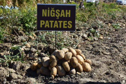 Patatesin Şahı NİĞŞAH BURDUR’da!..