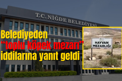 Niğde'de köpek itlafı iddialarına Belediye Başkanı Emrah Özdemir'den yanıt geldi