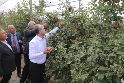 NÖHÜ'den sofralara 200 tonluk elma hasadı