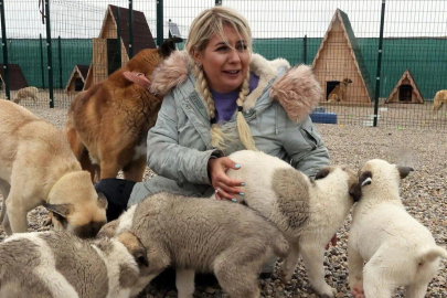 Köpekler için topladığı mama paralarını kendisi için kullanmış!