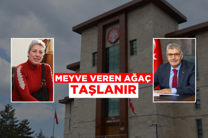 MEYVE VEREN AĞAÇ TAŞLANIR